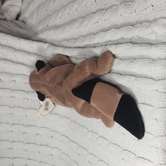 🕸Vintage Ty Beanie Baby Original Ringo the Raccoon 1995 P.V.C. Pellets - Picture 4 of 11